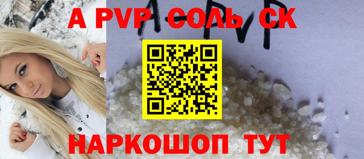 Alfa_PVP СК Ухта