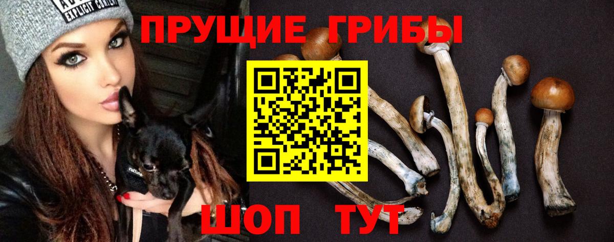 даркнет сайт  Галлюциногенные грибы ЛСД  Псилоцибиновые грибы Psilocybe  Вход с VPN  Ухта 
